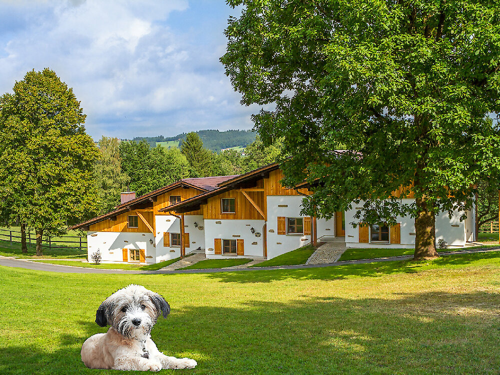 Gutshotel Feuerschwendt